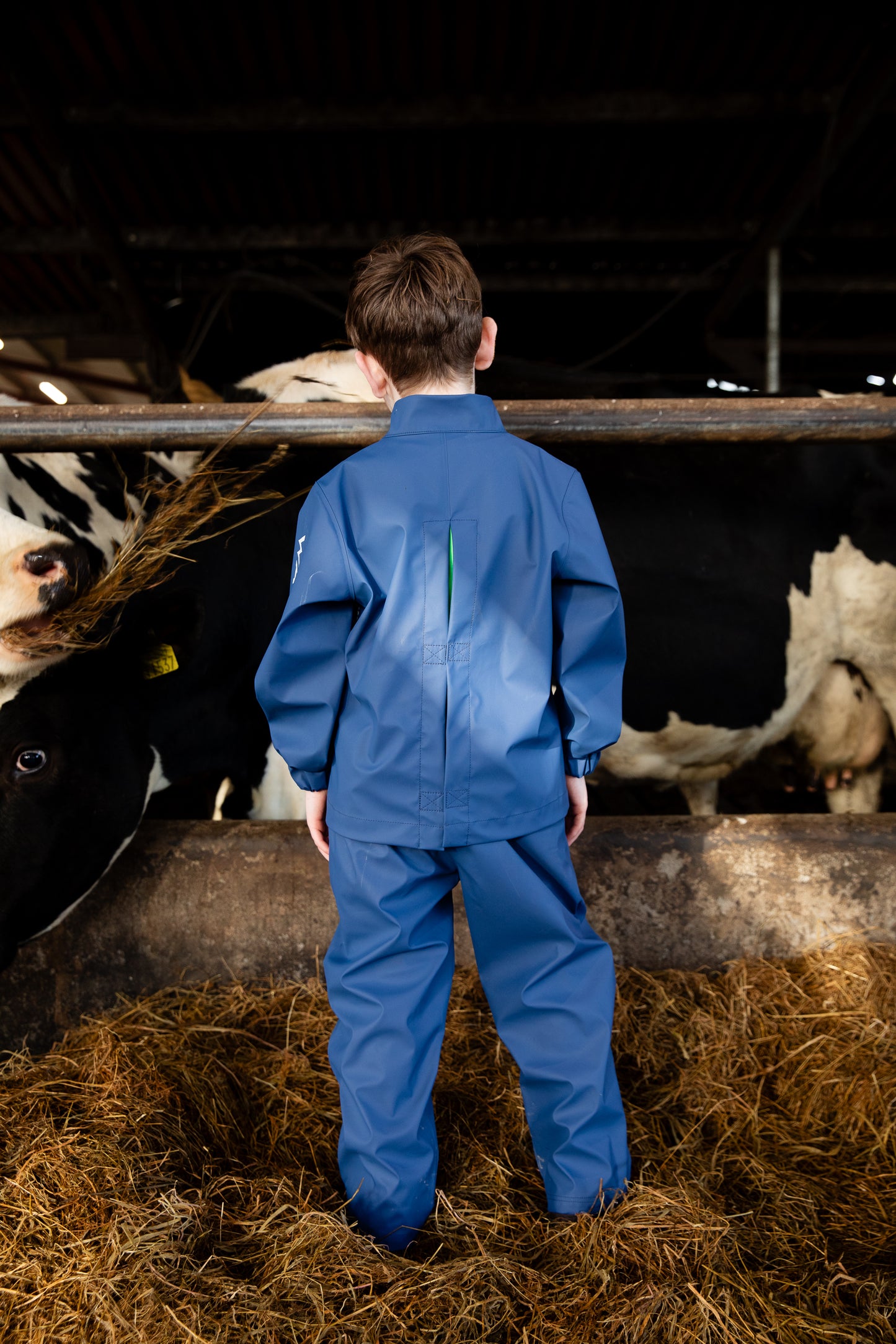 A child standing in front of cows in shed, wearing a navy/blue waterproof dairy top that easy to put on & take off and also matching elastic waist waterproof pants