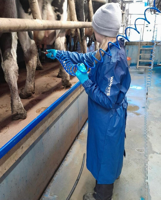Busy Days on the Farm