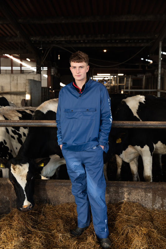 A person wearing a blue waterproof dairy top with Velcro fasteners standing in front of cows in a barn.